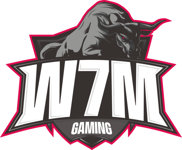 W7M Gaming